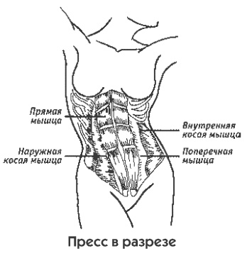 Пресс-гимнастика