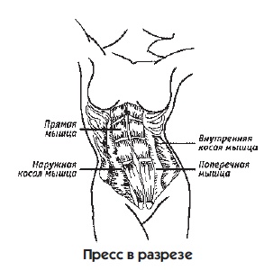 10 шагов к идеальному прессу