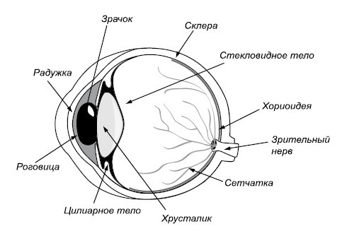 Лучшие методы восстановления зрения