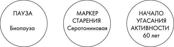 Стоп старение. Как вернуть молодость, здоровье и жизненные силы