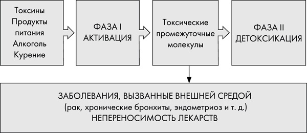 Стоп старение. Как вернуть молодость, здоровье и жизненные силы