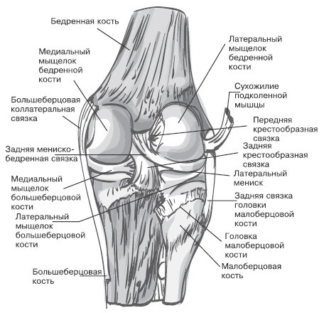 Боль в коленях. Найти и устранить причину