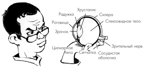 Как учиться и не испортить зрение