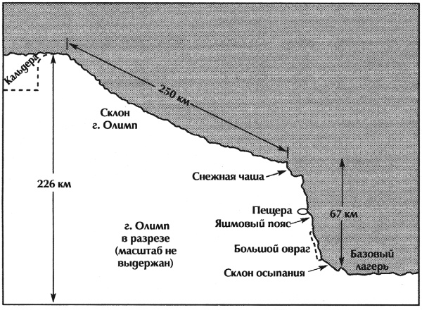 Марсиане