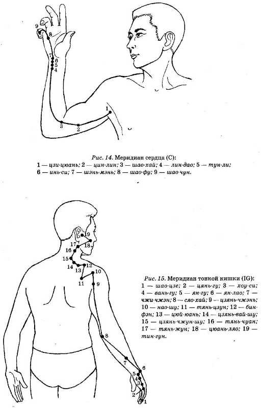 Энциклопедия целебного чая