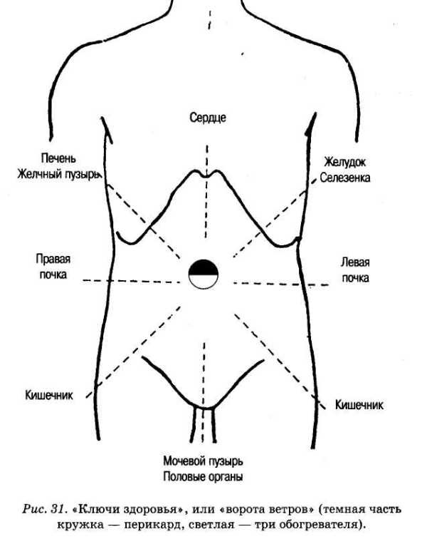 Энциклопедия целебного чая