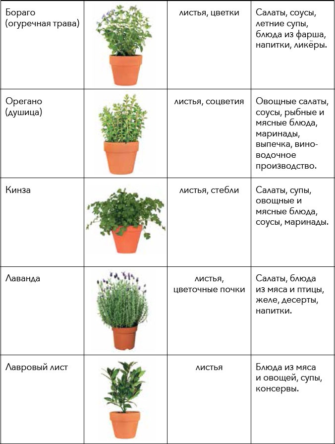 Кулинарная энциклопедия. Том 30. П-Р (Поросёнок – Радиккьо)