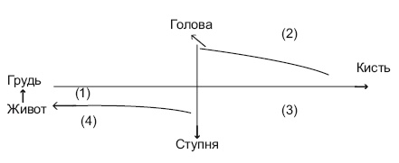 Оздоровительные упражнения Древнего Китая