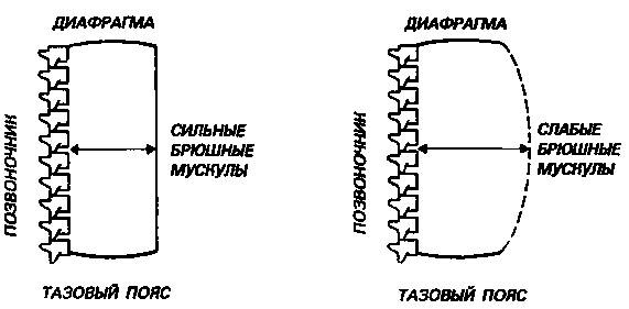 Здоровая спина за 10 минут в день