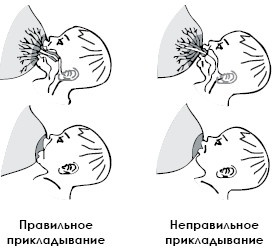 Питание ребенка от рождения до трех лет