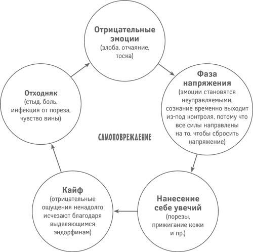 Классный учитель. Как работать с трудными учениками, сложными родителями и получать удовольствие от профессии