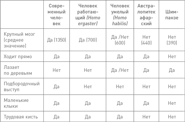 Мифы об эволюции человека