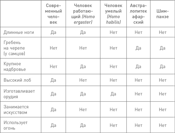 Мифы об эволюции человека