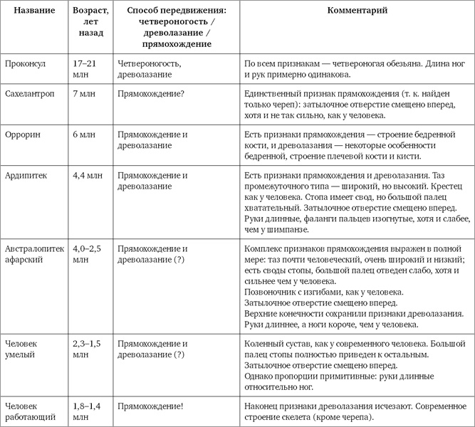 Мифы об эволюции человека