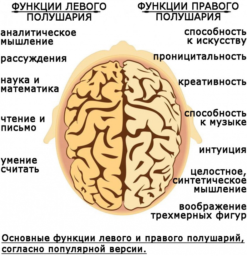 Два игрока на одном поле мозга