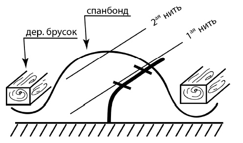 Обрезка винограда. Проверенные способы формировки укрывного винограда в средней полосе России