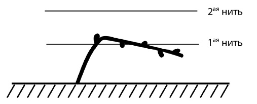 Обрезка винограда. Проверенные способы формировки укрывного винограда в средней полосе России