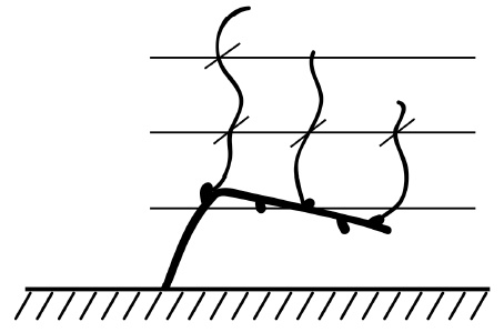 Обрезка винограда. Проверенные способы формировки укрывного винограда в средней полосе России