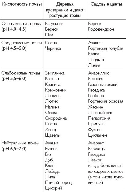 Рассада. Лучше, чем у всех! Секреты, хитрости, подсказки умного садовода. Лунный календарь. Самый удобный и полезный