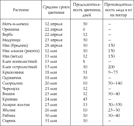 Пчеловодство для начинающих