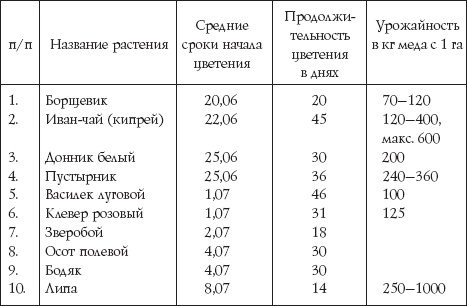 Пчеловодство для начинающих