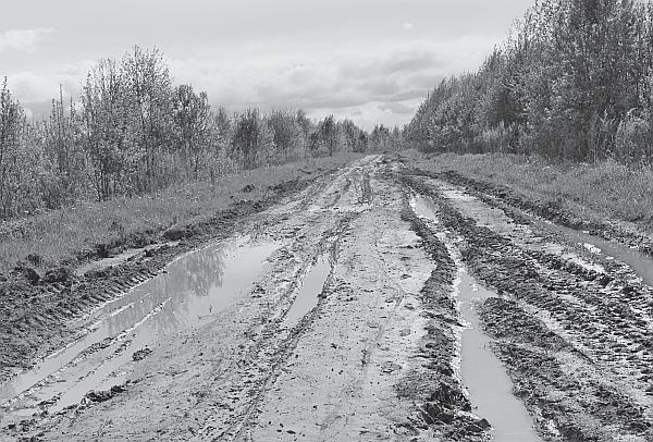 Пчеловодство для начинающих