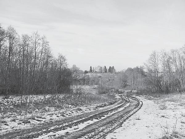 Пчеловодство для начинающих