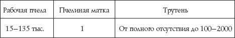 Пчеловодство для начинающих