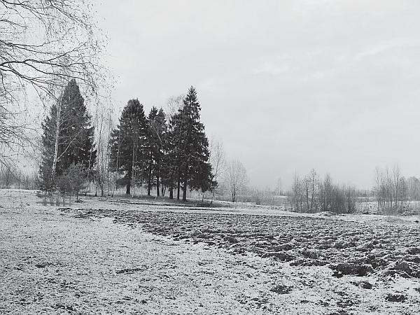 Пчеловодство для начинающих