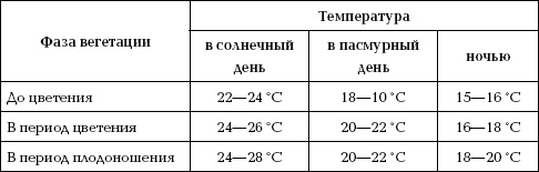 Отличный урожай круглый год