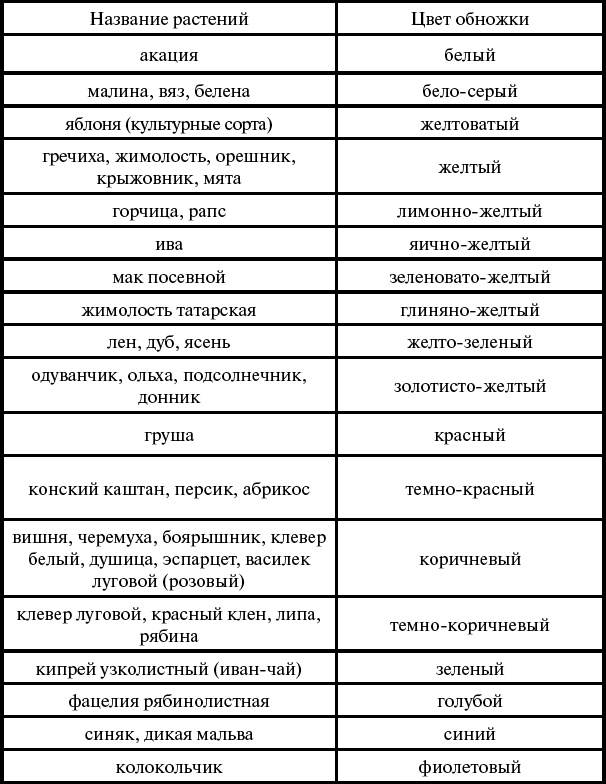 Основы пчеловодства. Самые необходимые советы тому, кто хочет завести собственную пасеку