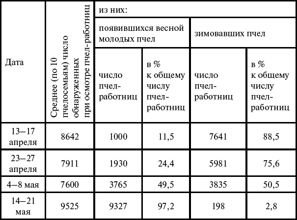 Основы пчеловодства. Самые необходимые советы тому, кто хочет завести собственную пасеку