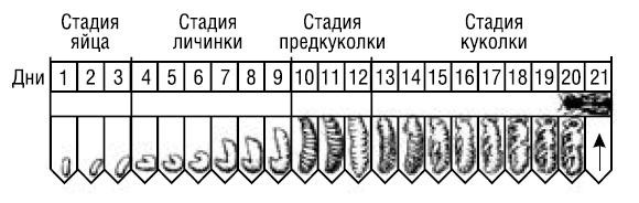 Полный справочник пчеловода