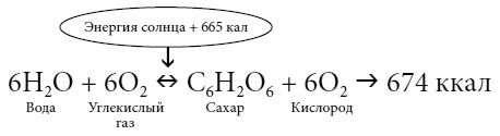 Полный справочник пчеловода