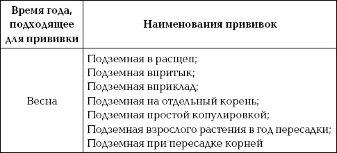 Ваш домашний виноградник