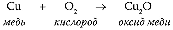 [Не]правда о нашем теле. Заблуждения, в которые мы верим