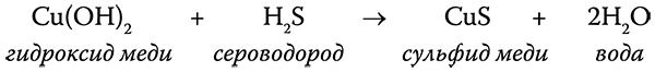 [Не]правда о нашем теле. Заблуждения, в которые мы верим