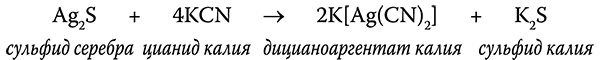 [Не]правда о нашем теле. Заблуждения, в которые мы верим