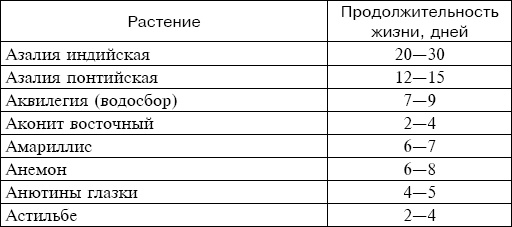 Букеты. Искусственные цветы