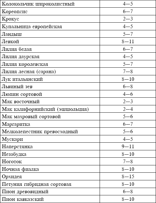 Букеты. Искусственные цветы