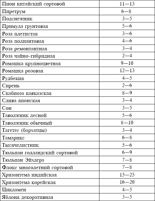 Букеты. Искусственные цветы