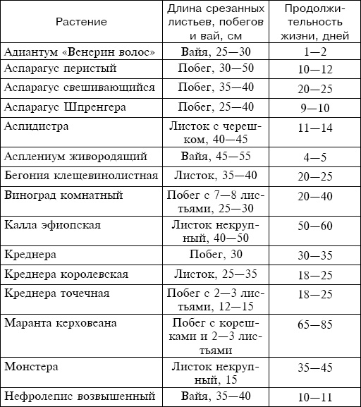 Букеты. Искусственные цветы