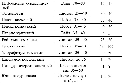 Букеты. Искусственные цветы