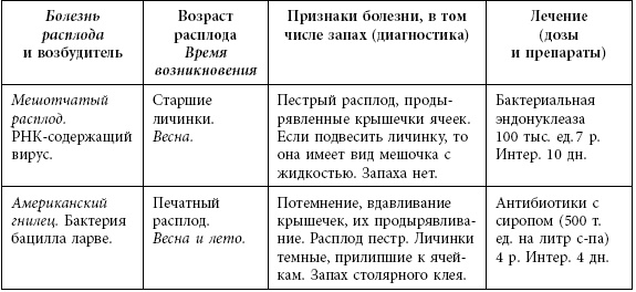 Пчеловодство. Первые шаги к прибыльному хозяйству