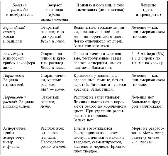 Пчеловодство. Первые шаги к прибыльному хозяйству