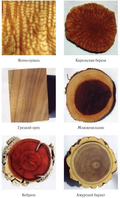 Уроки искусного резчика. Вырезаем из дерева фигурки людей и животных, посуду, статуэтки