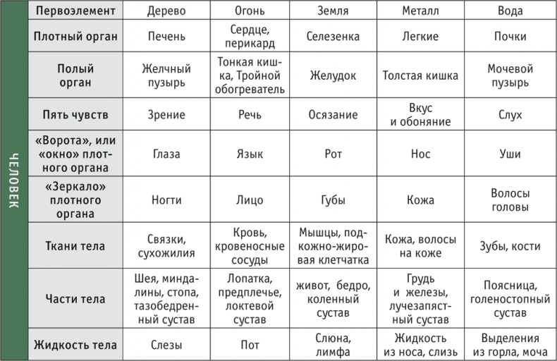 Лестница в небо, или Китайская медицина по-русски