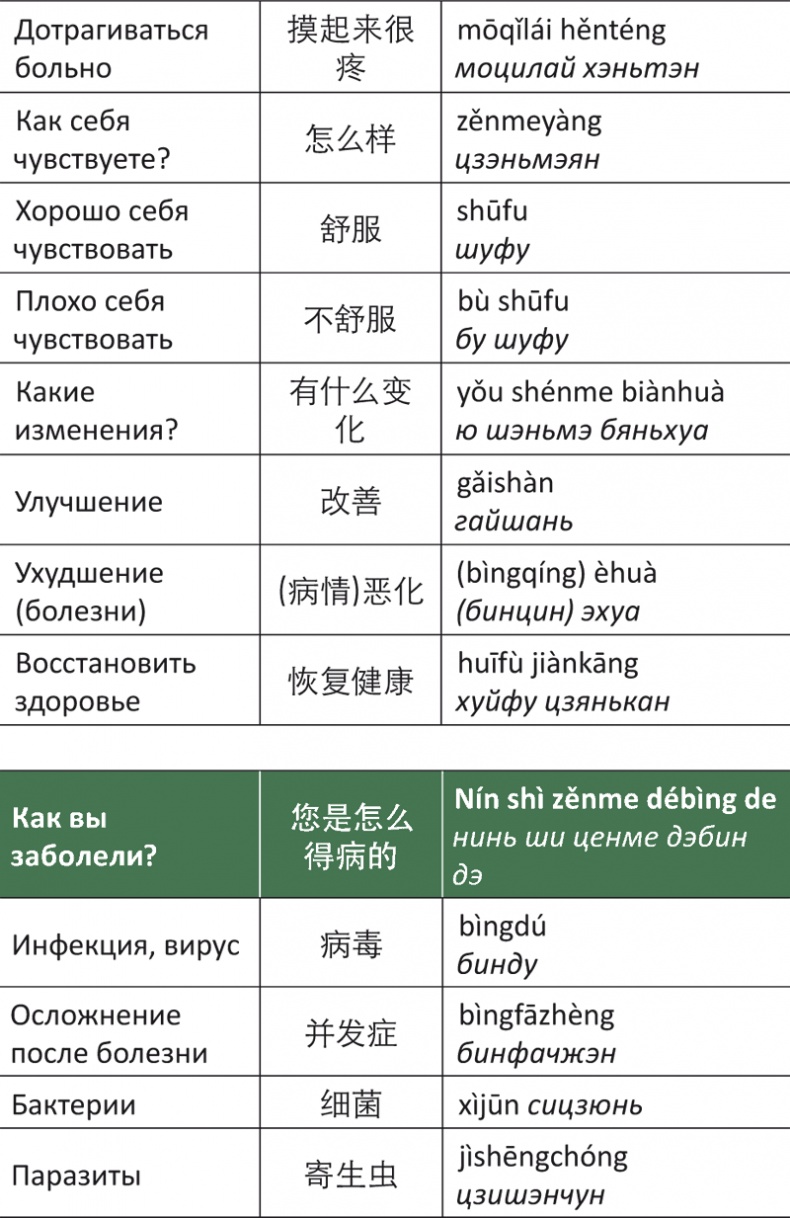 Лестница в небо, или Китайская медицина по-русски