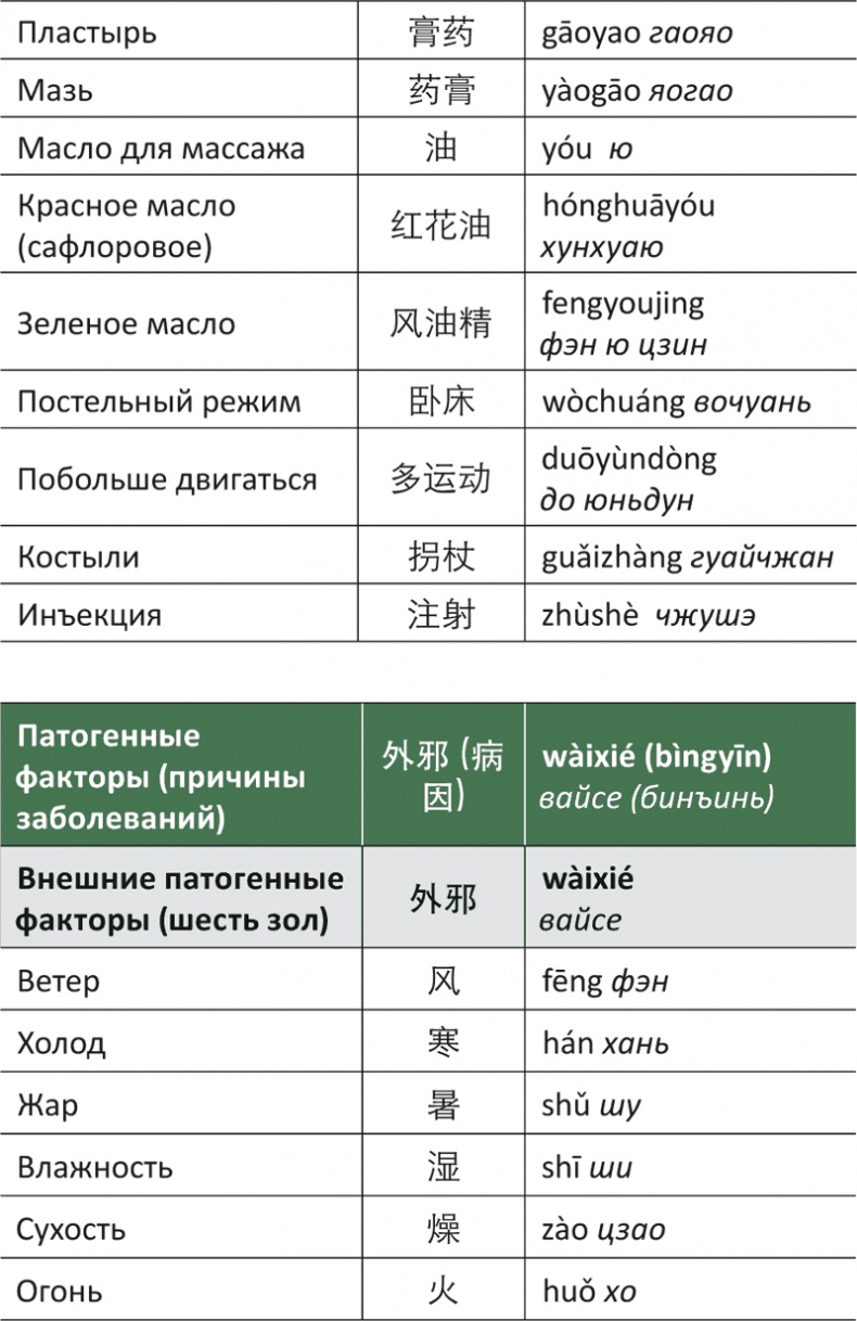 Лестница в небо, или Китайская медицина по-русски