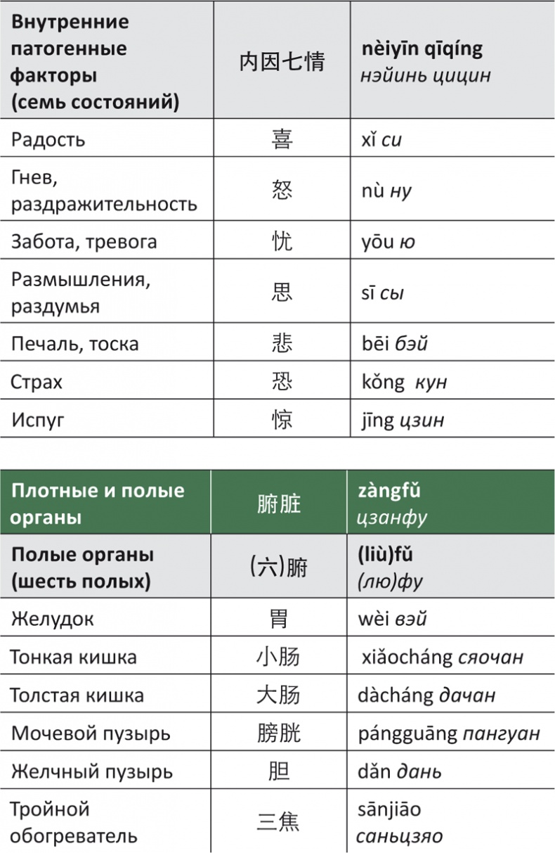 Лестница в небо, или Китайская медицина по-русски